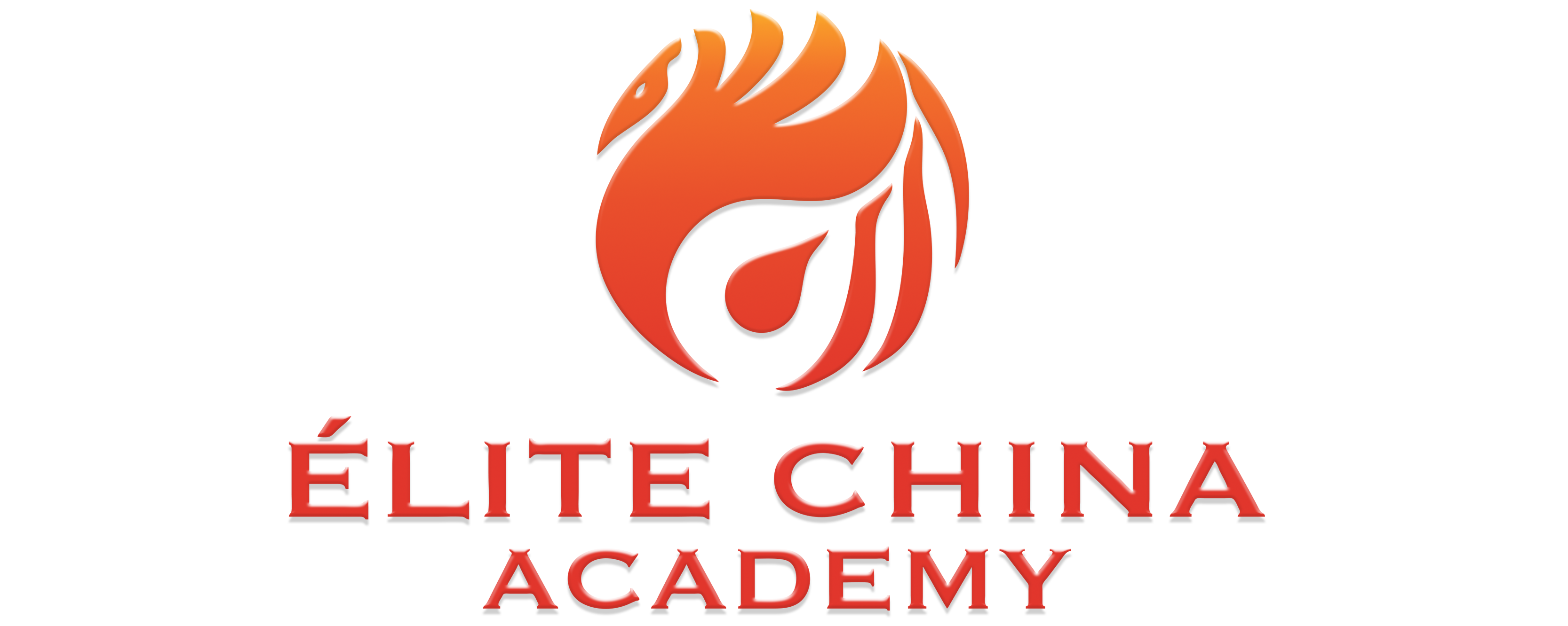 China Professionals